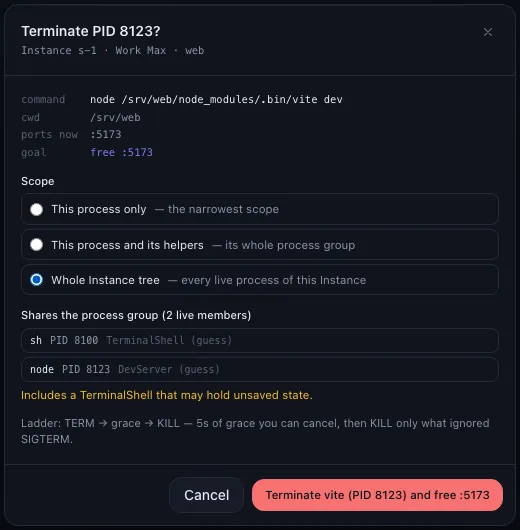 Stop dialog showing the command, folder and port, scope options and the processes in the group